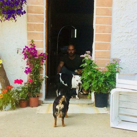 Le Terre D'Abruzzo Guest House Alanno Exterior photo
