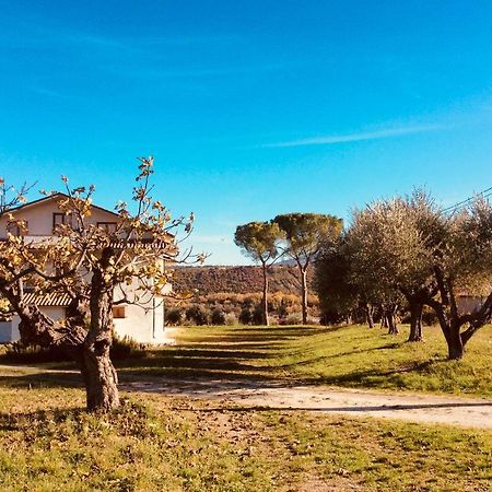 Le Terre D'Abruzzo Guest House Alanno Exterior photo