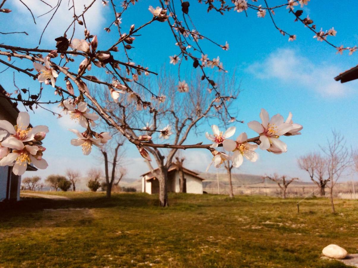 Le Terre D'Abruzzo Guest House Alanno Exterior photo