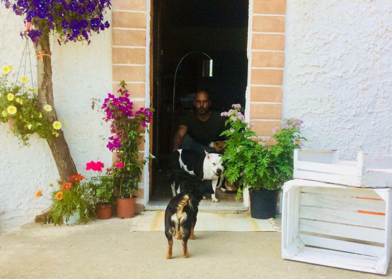Le Terre D'Abruzzo Guest House Alanno Exterior photo