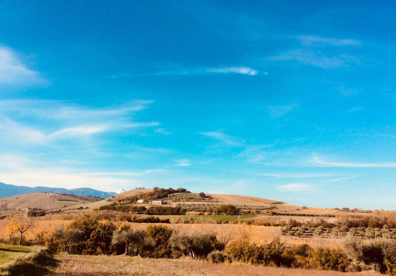 Le Terre D'Abruzzo Guest House Alanno Exterior photo