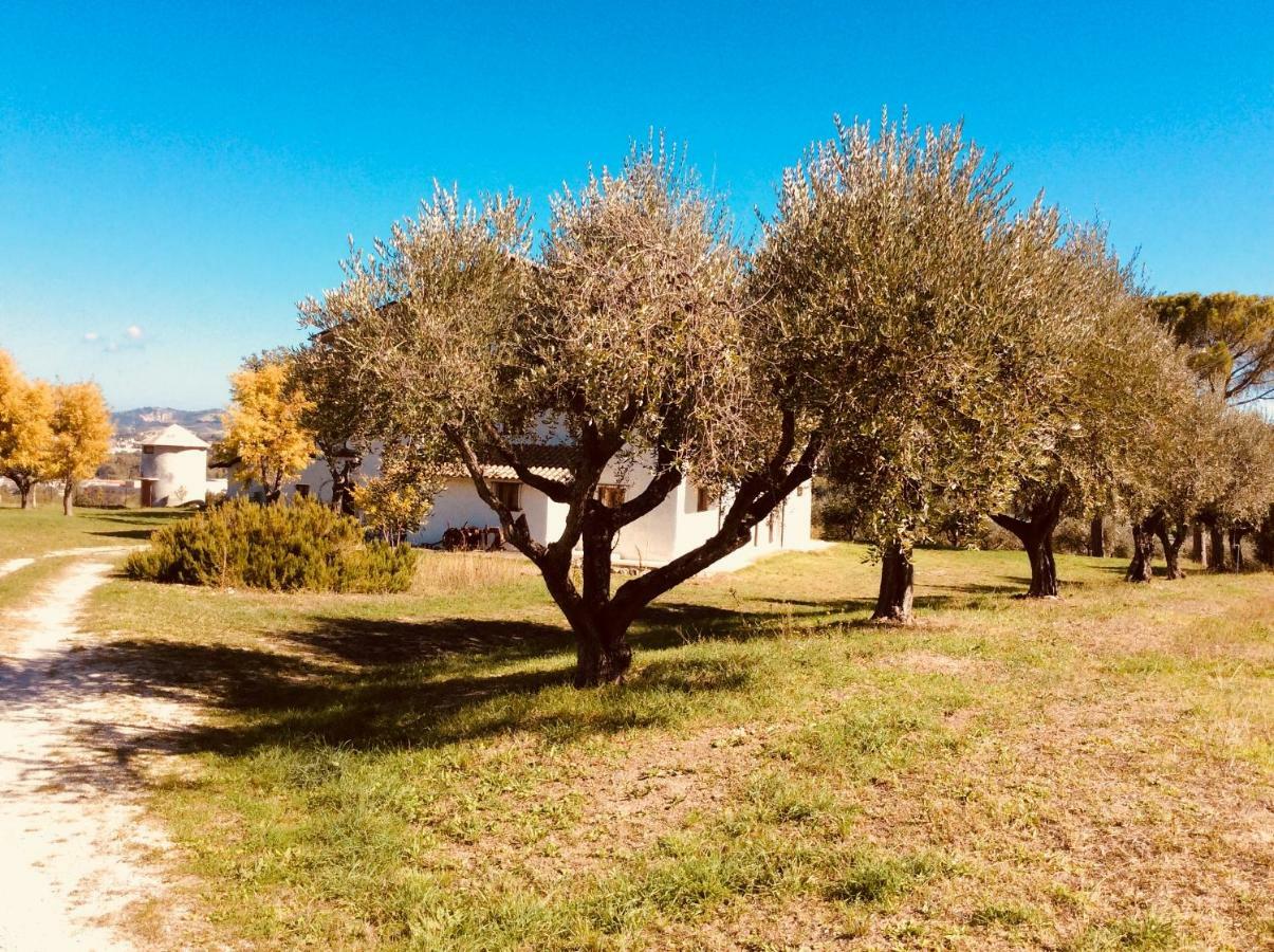 Le Terre D'Abruzzo Guest House Alanno Exterior photo